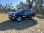 2019 Escalade Thumbnail 1