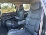 2019 Escalade Thumbnail 13