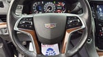 2019 Escalade Thumbnail 12
