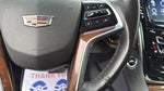 2019 Escalade Thumbnail 13