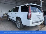 2019 Escalade Thumbnail 6