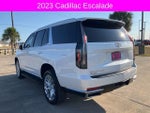 2023 Escalade Thumbnail 4