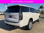 2023 Escalade Thumbnail 6