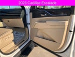 2023 Escalade Thumbnail 13