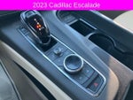 2023 Escalade Thumbnail 36