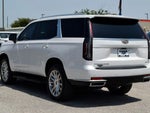 2023 Escalade Thumbnail 4