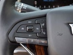 2023 Escalade Thumbnail 8