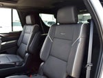 2023 Escalade Thumbnail 18
