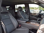 2023 Escalade Thumbnail 24