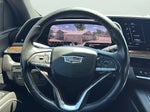 2021 Escalade Thumbnail 14