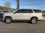 2023 Escalade Thumbnail 4