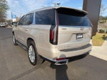 2023 Escalade Thumbnail 5