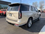 2023 Escalade Thumbnail 9
