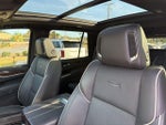 2023 Escalade Thumbnail 24