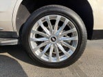 2023 Escalade Thumbnail 36
