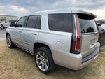 2020 Escalade Thumbnail 2