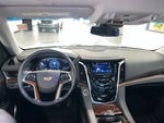2020 Escalade Thumbnail 18