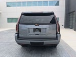 2019 Escalade Thumbnail 5