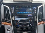 2019 Escalade Thumbnail 20