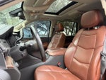 2020 Escalade Thumbnail 6