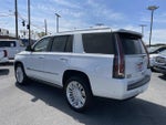 2018 Escalade Thumbnail 6