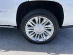2018 Escalade Thumbnail 10