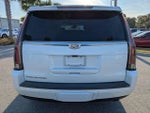 2019 Escalade Thumbnail 5