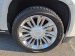 2019 Escalade Thumbnail 12