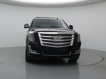 2019 Escalade Thumbnail 5