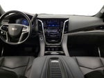 2019 Escalade Thumbnail 9