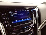 2019 Escalade Thumbnail 16
