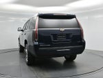 2020 Escalade Thumbnail 29