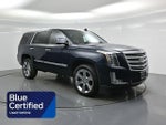 2020 Escalade Thumbnail 1