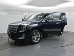 2020 Escalade Thumbnail 33