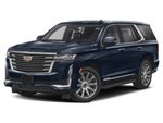 2023 Escalade Thumbnail 4