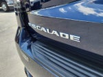 2021 Escalade Thumbnail 9