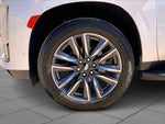 2022 Escalade Thumbnail 11