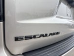 2022 Escalade Thumbnail 5