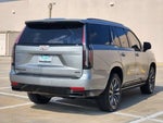 2023 Escalade Thumbnail 5