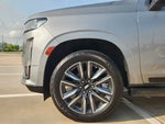 2023 Escalade Thumbnail 8