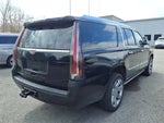 2018 Escalade ESV Thumbnail 5