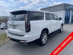 2023 Escalade ESV Thumbnail 4