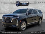 2022 Escalade ESV Thumbnail 1