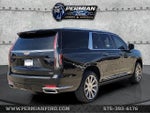2022 Escalade ESV Thumbnail 4