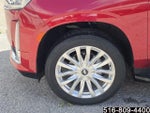 2022 Escalade Thumbnail 10