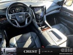 2019 Escalade Thumbnail 12