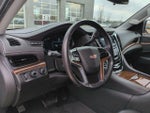 2020 Escalade Thumbnail 2