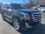 2020 Escalade Thumbnail 1