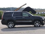 2017 Escalade Thumbnail 10