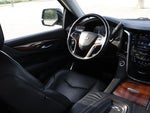 2017 Escalade Thumbnail 12